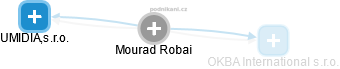  Mourad R. - Vizualizace  propojení osoby a firem v obchodním rejstříku