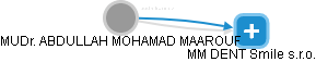  Maarouf A. - Vizualizace  propojení osoby a firem v obchodním rejstříku