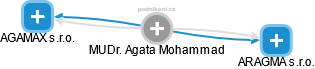  Agata M. - Vizualizace  propojení osoby a firem v obchodním rejstříku