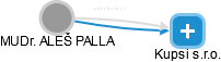  Palla A. - Vizualizace  propojení osoby a firem v obchodním rejstříku
