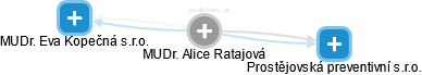  Alice R. - Vizualizace  propojení osoby a firem v obchodním rejstříku