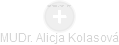 Alicja Kolasová - Vizualizace  propojení osoby a firem v obchodním rejstříku
