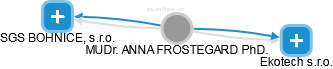 ANNA FROSTEGARD - Vizualizace  propojení osoby a firem v obchodním rejstříku