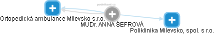  Anna K. - Vizualizace  propojení osoby a firem v obchodním rejstříku