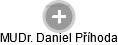  Daniel P. - Vizualizace  propojení osoby a firem v obchodním rejstříku