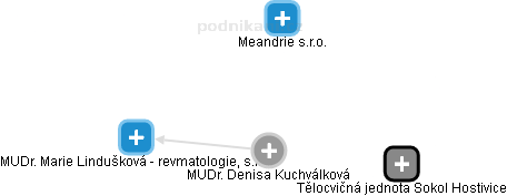 Denisa Kuchválková - Vizualizace  propojení osoby a firem v obchodním rejstříku