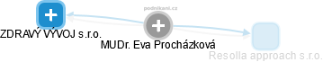 Eva Procházková - Vizualizace  propojení osoby a firem v obchodním rejstříku