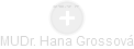 Hana Grossová - Vizualizace  propojení osoby a firem v obchodním rejstříku