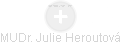 Julie Heroutová - Vizualizace  propojení osoby a firem v obchodním rejstříku
