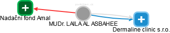LAILA AL ASBAHEE - Vizualizace  propojení osoby a firem v obchodním rejstříku