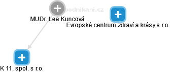 Lea Kuncová - Vizualizace  propojení osoby a firem v obchodním rejstříku