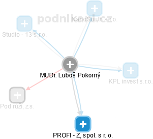  Luboš P. - Vizualizace  propojení osoby a firem v obchodním rejstříku