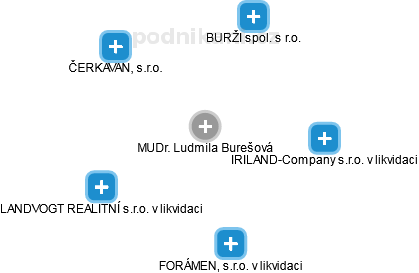 Ludmila Burešová - Vizualizace  propojení osoby a firem v obchodním rejstříku