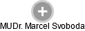  Marcel S. - Vizualizace  propojení osoby a firem v obchodním rejstříku