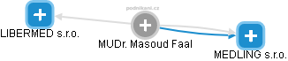  Masoud F. - Vizualizace  propojení osoby a firem v obchodním rejstříku