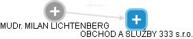  Lichtenberg M. - Vizualizace  propojení osoby a firem v obchodním rejstříku