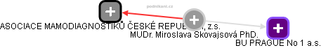 Miroslava S. - Vizualizace  propojení osoby a firem v obchodním rejstříku