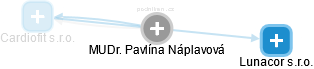 Pavlína Náplavová - Vizualizace  propojení osoby a firem v obchodním rejstříku