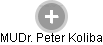  Peter K. - Vizualizace  propojení osoby a firem v obchodním rejstříku