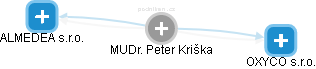 Peter Kriška - Vizualizace  propojení osoby a firem v obchodním rejstříku