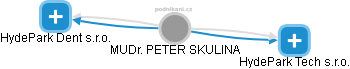 PETER SKULINA - Vizualizace  propojení osoby a firem v obchodním rejstříku