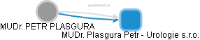 PETR PLASGURA - Vizualizace  propojení osoby a firem v obchodním rejstříku