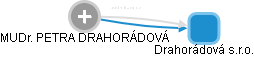 PETRA DRAHORÁDOVÁ - Vizualizace  propojení osoby a firem v obchodním rejstříku