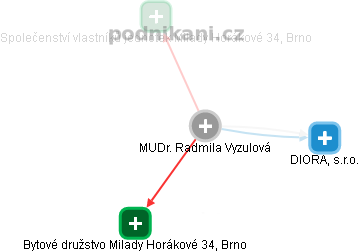 Radmila Vyzulová - Vizualizace  propojení osoby a firem v obchodním rejstříku