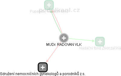 RADOVAN VLK - Vizualizace  propojení osoby a firem v obchodním rejstříku