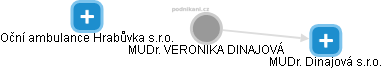  Veronika D. - Vizualizace  propojení osoby a firem v obchodním rejstříku