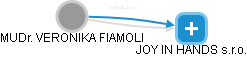 VERONIKA FIAMOLI - Vizualizace  propojení osoby a firem v obchodním rejstříku