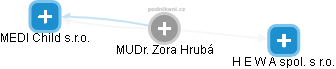  Zora H. - Vizualizace  propojení osoby a firem v obchodním rejstříku