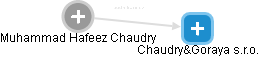 Muhammad Hafeez Chaudry - Vizualizace  propojení osoby a firem v obchodním rejstříku