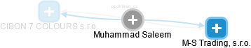 Muhammad Saleem - Vizualizace  propojení osoby a firem v obchodním rejstříku