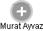 Murat Ayvaz - Vizualizace  propojení osoby a firem v obchodním rejstříku