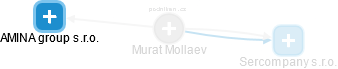 Murat Mollaev - Vizualizace  propojení osoby a firem v obchodním rejstříku