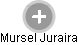 Mursel Juraira - Vizualizace  propojení osoby a firem v obchodním rejstříku