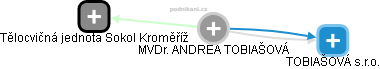 Andrea T. - Vizualizace  propojení osoby a firem v obchodním rejstříku