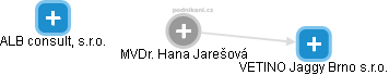  Hana J. - Vizualizace  propojení osoby a firem v obchodním rejstříku