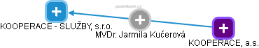  Jarmila K. - Vizualizace  propojení osoby a firem v obchodním rejstříku