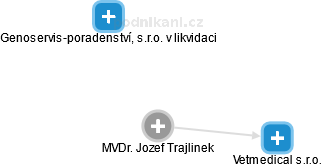 Jozef Trajlinek - Vizualizace  propojení osoby a firem v obchodním rejstříku
