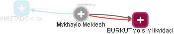 Mykhaylo Meklesh - Vizualizace  propojení osoby a firem v obchodním rejstříku