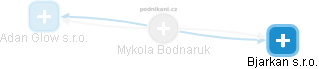 Mykola Bodnaruk - Vizualizace  propojení osoby a firem v obchodním rejstříku