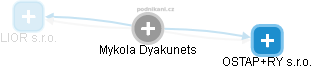 Mykola Dyakunets - Vizualizace  propojení osoby a firem v obchodním rejstříku