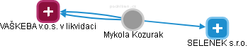 Mykola Kozurak - Vizualizace  propojení osoby a firem v obchodním rejstříku