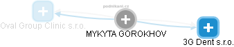 MYKYTA GOROKHOV - Vizualizace  propojení osoby a firem v obchodním rejstříku