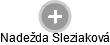 Nadežda Sleziaková - Vizualizace  propojení osoby a firem v obchodním rejstříku
