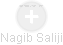 Nagib Saliji - Vizualizace  propojení osoby a firem v obchodním rejstříku