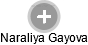 Naraliya Gayova - Vizualizace  propojení osoby a firem v obchodním rejstříku