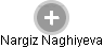 Nargiz Naghiyeva - Vizualizace  propojení osoby a firem v obchodním rejstříku